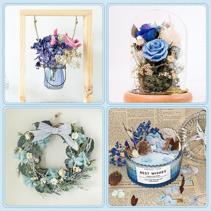 Natürliche Trockenblumen Mix Blau für DIY & Deko