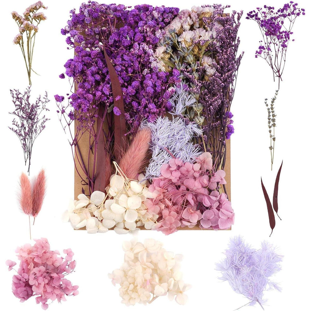 Trockenblumen Set Violett für DIY & Wohndeko