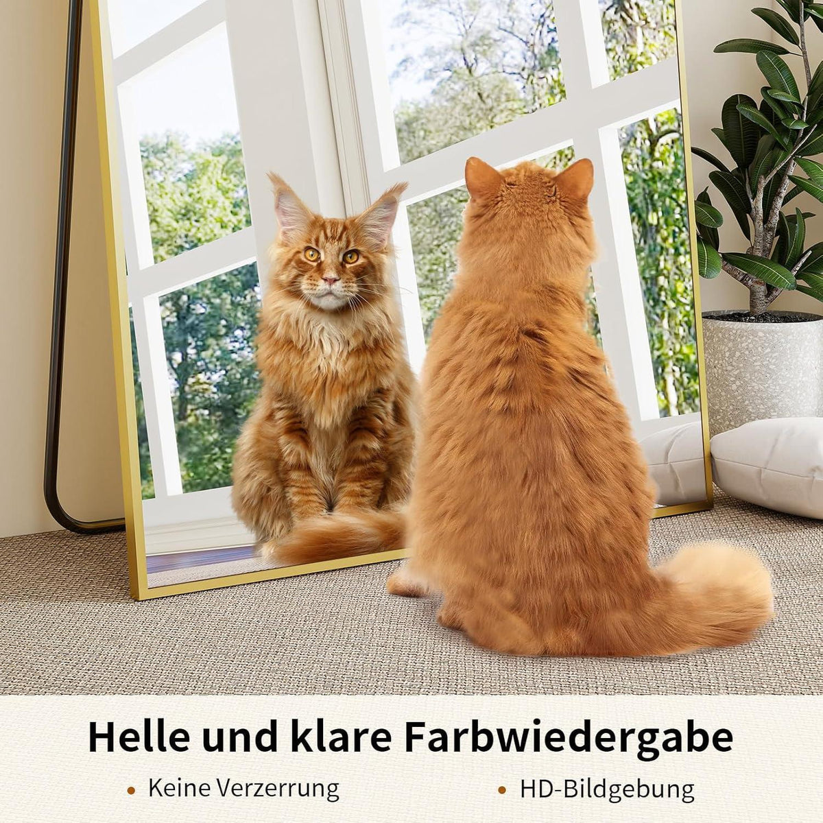 Großer Standspiegel 165x60cm – Bruchsicher & Wandhängend