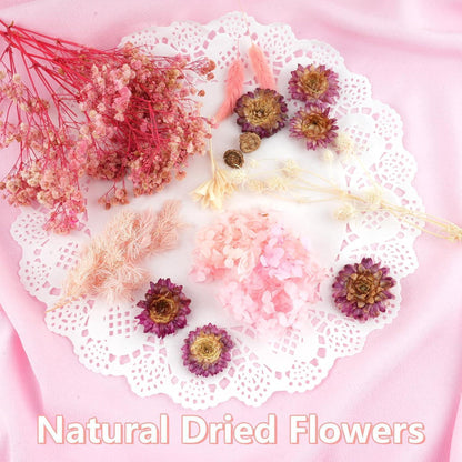 Getrocknete Blumen Rosa-Weiß für DIY & Deko