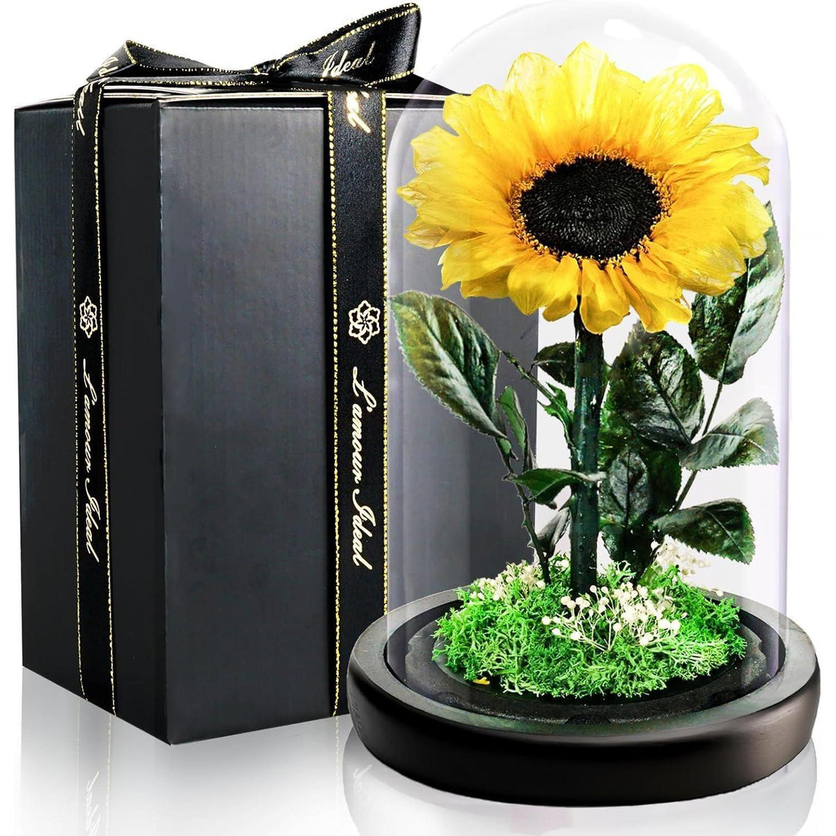 Konservierte Sonnenblume im Glas - Ewiges Muttertagsgeschenk