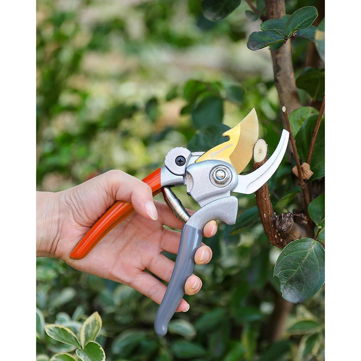 Ersatzfedern für Gartenscheren 4er Set, Edelstahl, 6cm