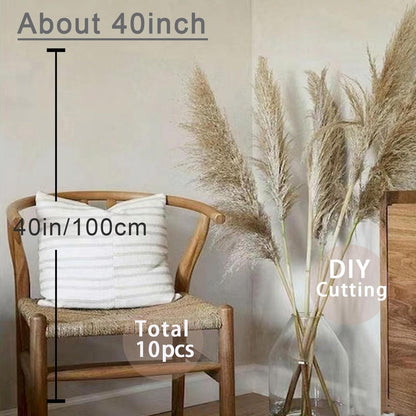 10 Stück Getrocknetes Pampasgras 100cm - Boho Deko