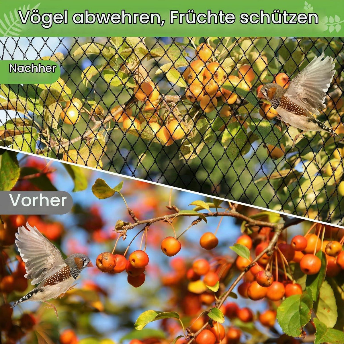 Teichnetz Feinmaschig 2x5m mit 12 Bodenankern