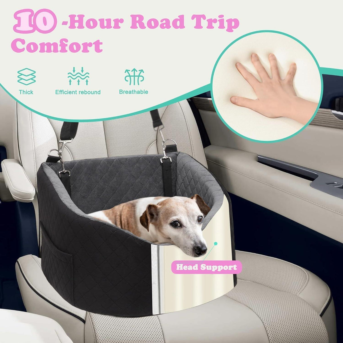 Hunde Autositz für Kleine Hunde – Crash-Schutz & Komfort