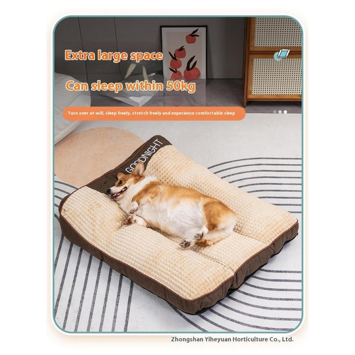 Großes Hundekissenbett mit Wirbelsäulenstütze – Grau, 60x47x18 cm