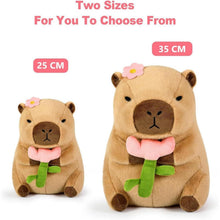Capybara Kuscheltier mit Blume – 30cm Plüschtier & Kissen