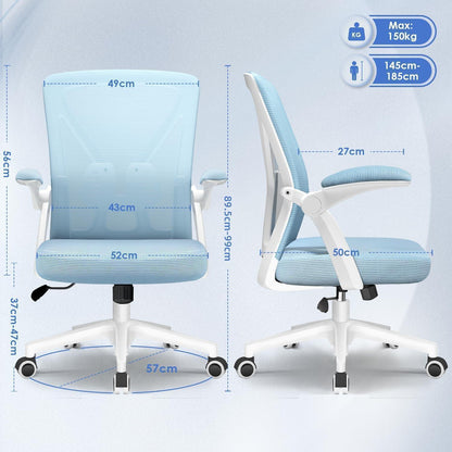 Ergonomischer Bürostuhl Lendenwirbelstütze Testsieger Blau