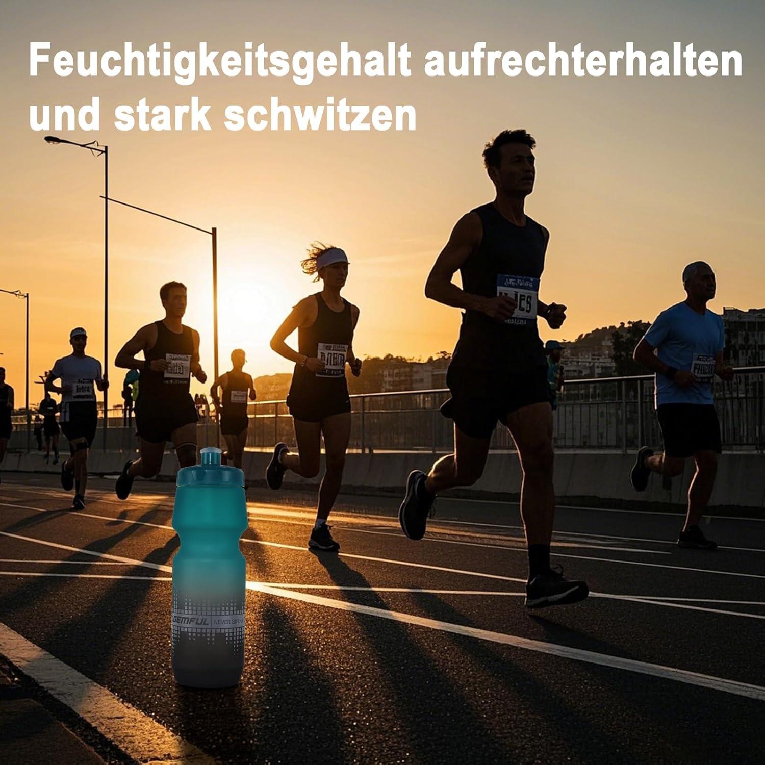 2er-Pack Rennrad Trinkflasche 750 ml Auslaufsicher BPA-frei Grau
