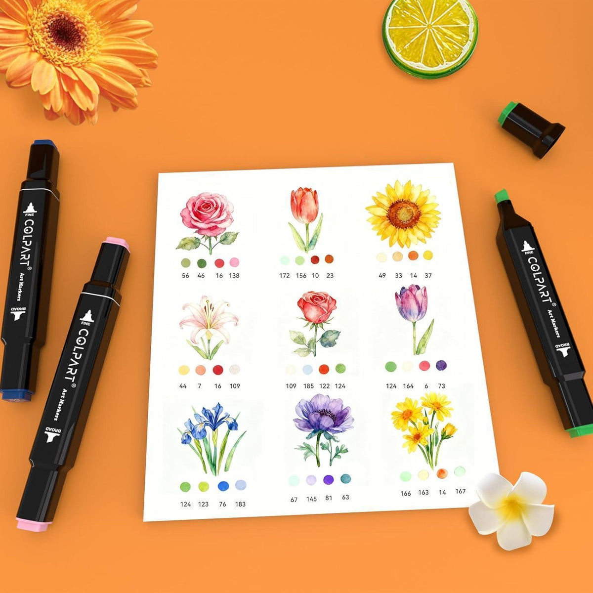 Alkohol Marker Set 262 Farben – Dual Tip für Illustration & Design