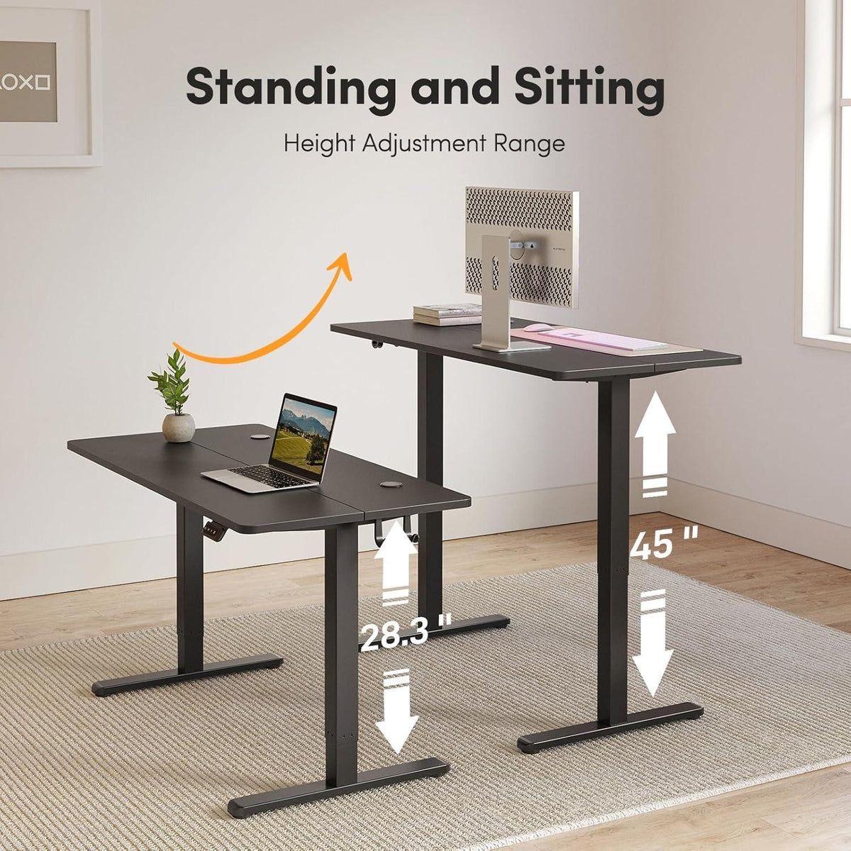 FEZIBO Elektrischer Steh-Sitz Schreibtisch 140 x 60 cm Schwarz