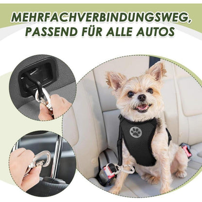 2x Hunde Sicherheitsgurt Auto – Verstellbar & Ruckdämpfend
