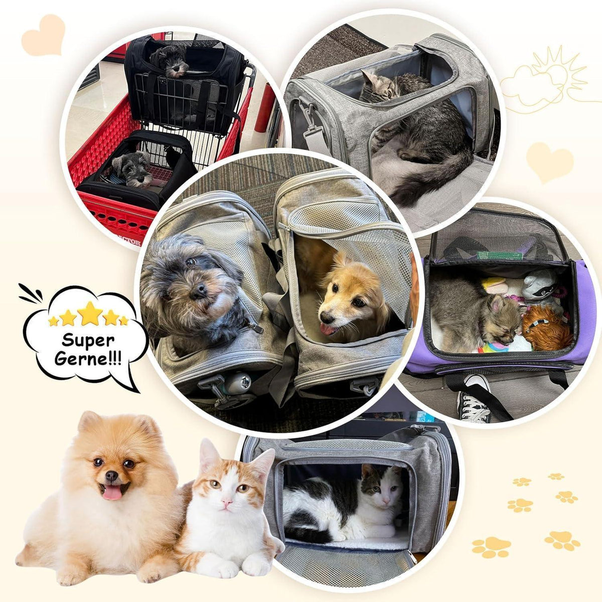Faltbare Katzentransportbox – Tragbare Hundetransporttasche L Grün