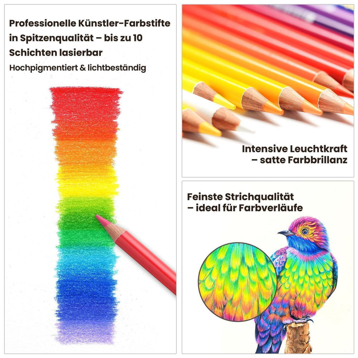 300-Farben Ölfarbstifte Set für Künstler & Ausmalbilder