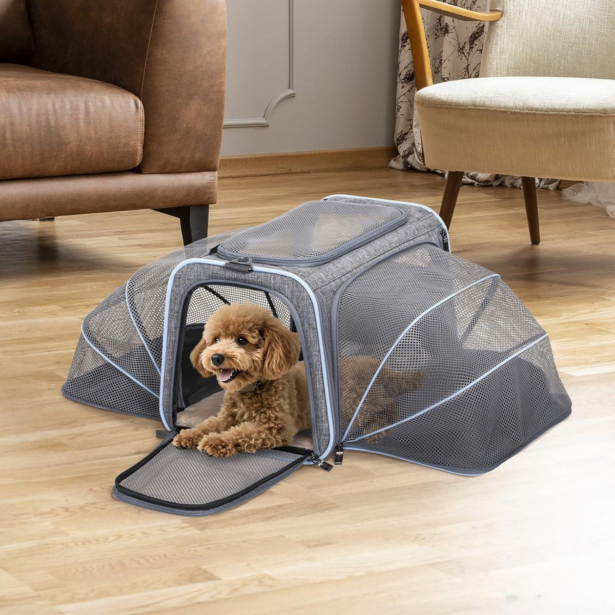 Faltbare Transporttasche Katze & Hund – Komfort & Sicherheit