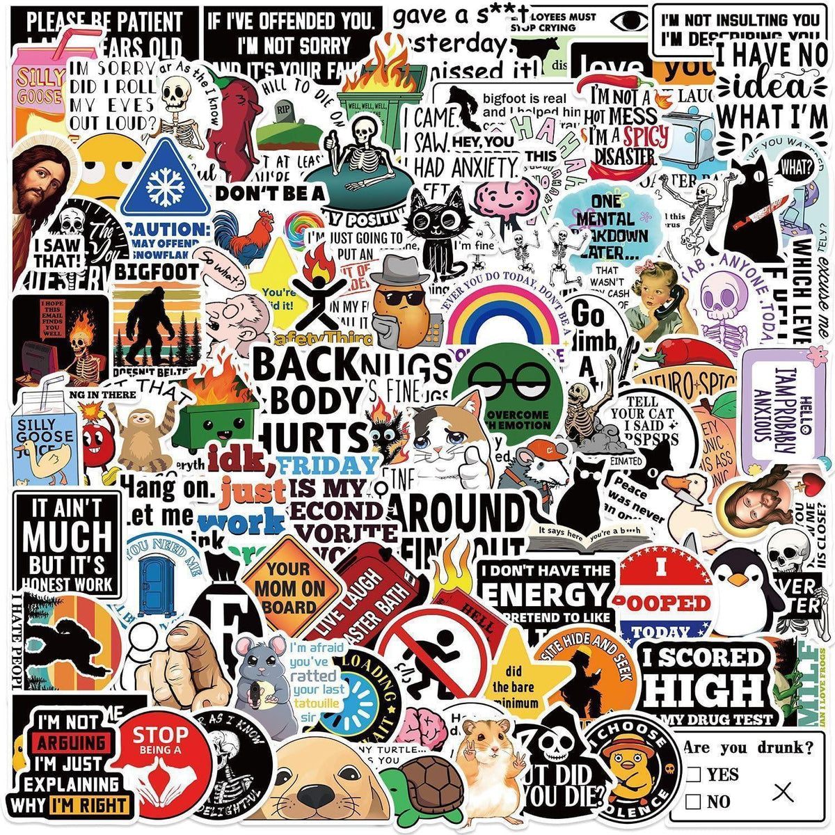 100 Meme Aufkleber Set für Laptop & Co. – Lustige Sticker