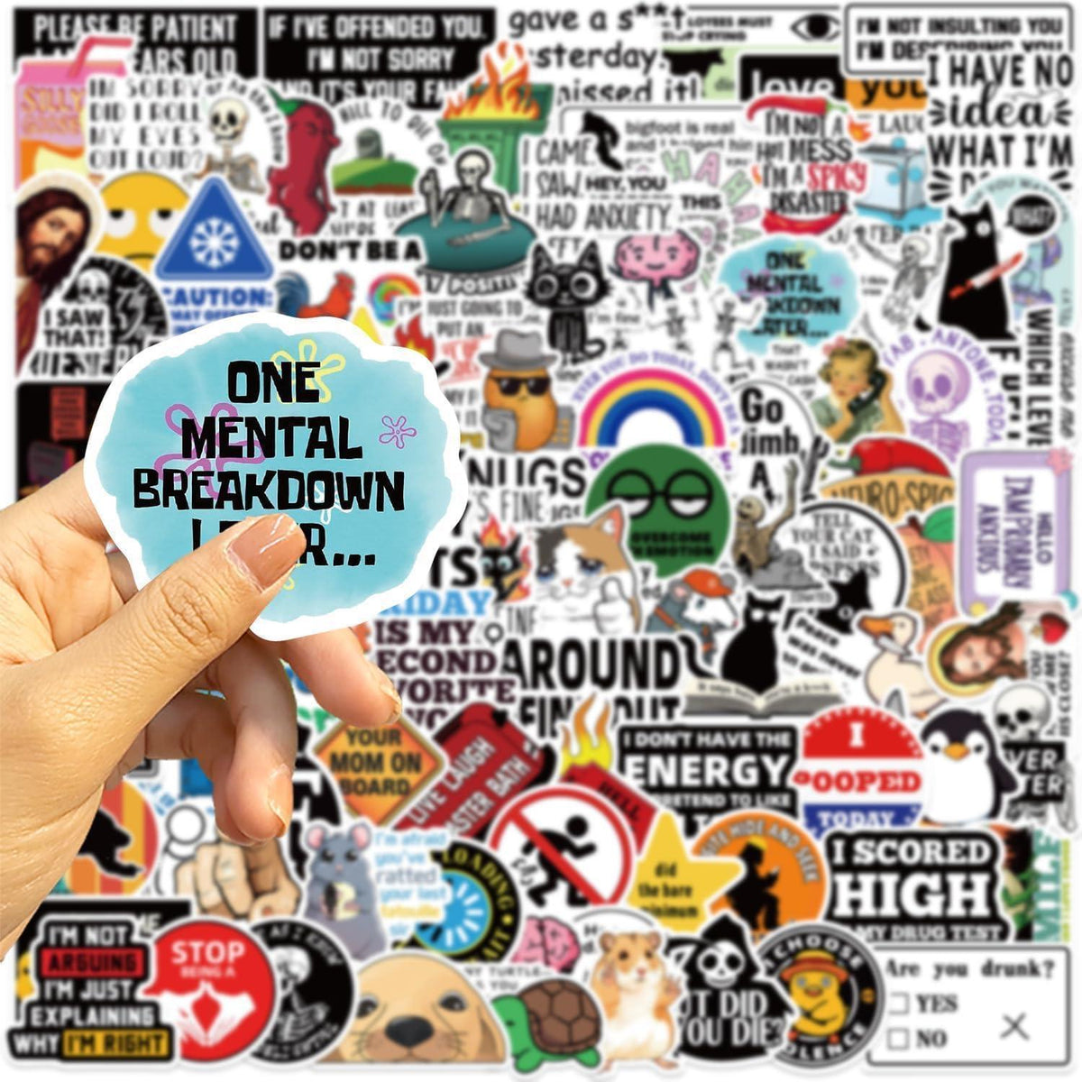 100 Meme Aufkleber Set für Laptop & Co. – Lustige Sticker