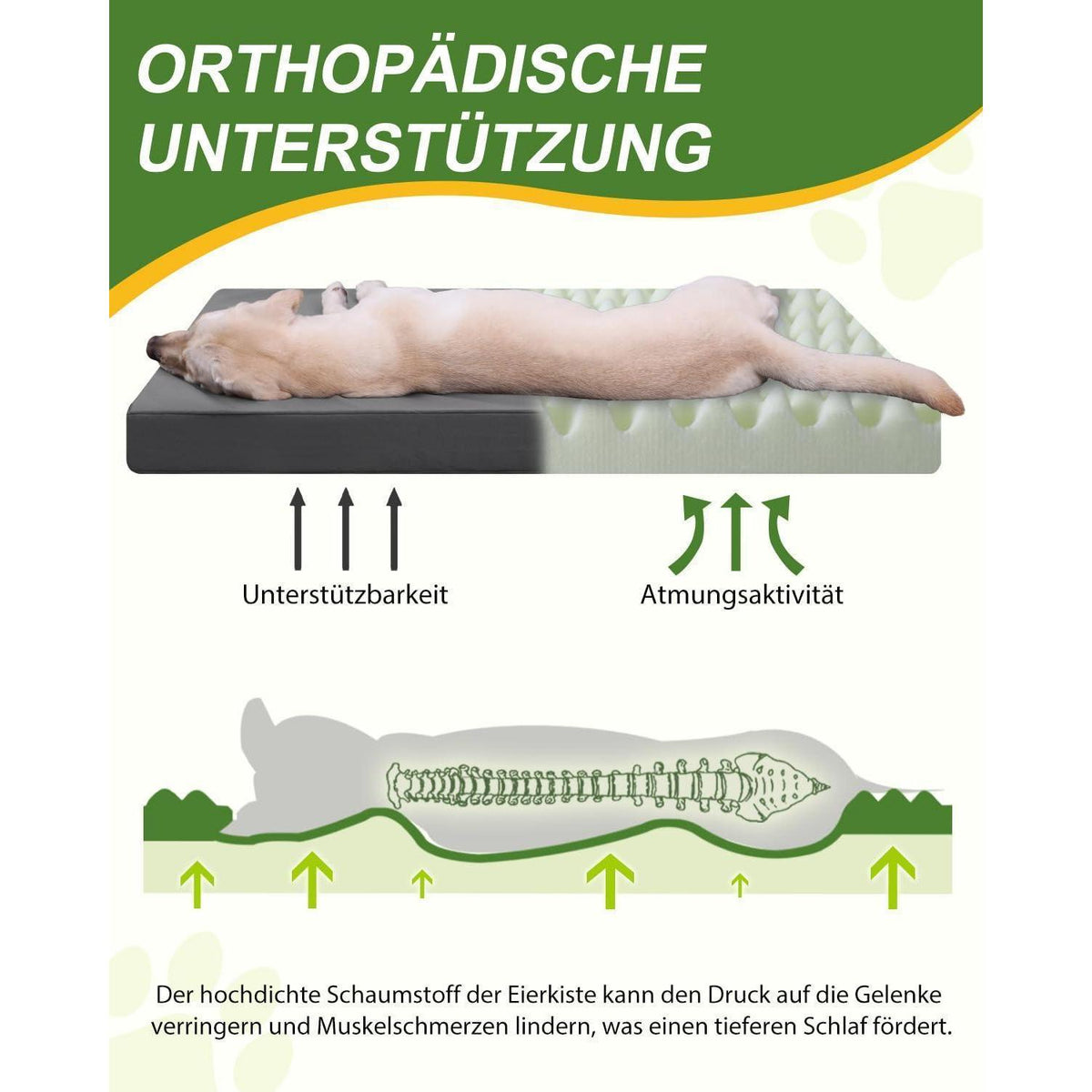 Orthopädisches Hundebett Groß, Wasserdicht Grau – Komfort & Halt