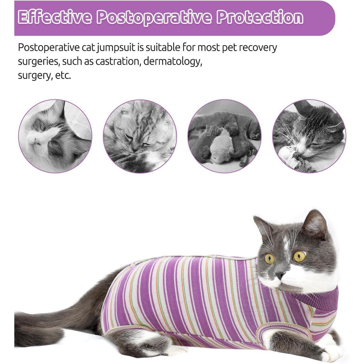Katzen-OP-Body nach Operation, Bauchwunden Schutz, Lila XS