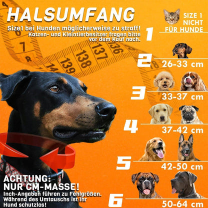 Aufblasbare Hundehalskrause 2in1 – Leckschutz & Komfort [Größe 5]