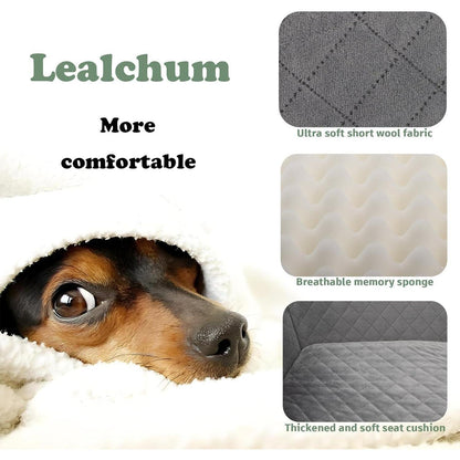 Hunde-Autositz Large – Weicher Memory-Schaum & Sicherheitsleine