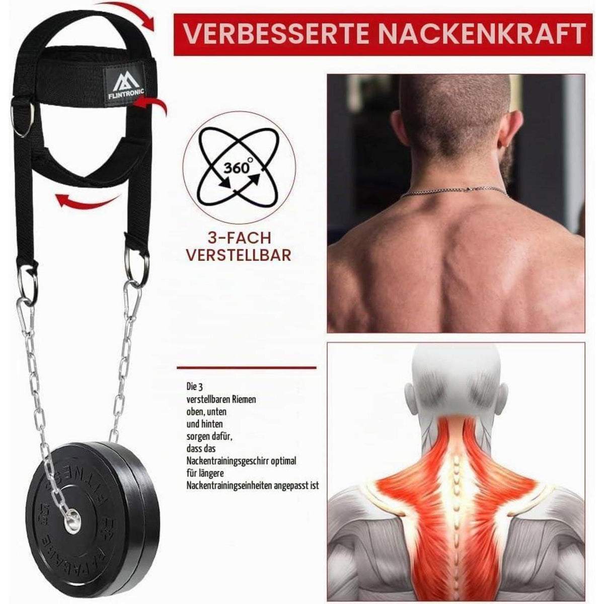 Nackentrainer für Kraftsport – Gewichtheben Kette Geschirr