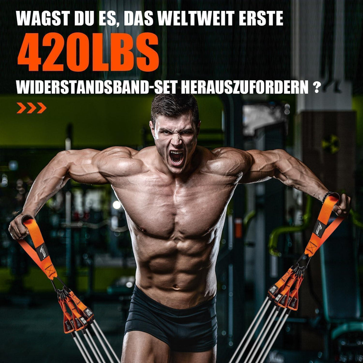Widerstandsbänder Set mit Griffen & Zubehör, bis 190kg