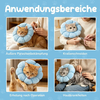 Katzen Halskrause Blumen Blau – Leckschutz & Komfort