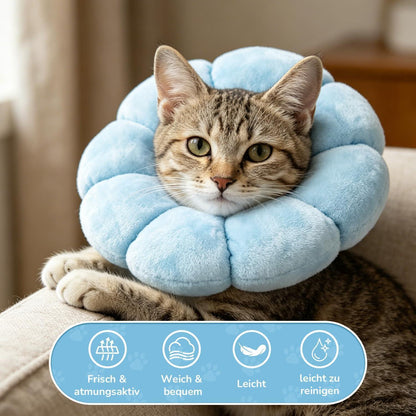 Katzen Halskrause Blumen Blau – Leckschutz & Komfort