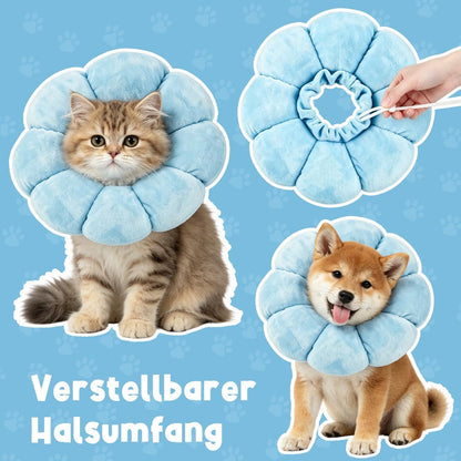 Katzen Halskrause Blumen Blau – Leckschutz & Komfort