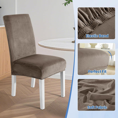Samt Stuhlhussen 2er Set – Stretch, Waschbar & Kratzfest