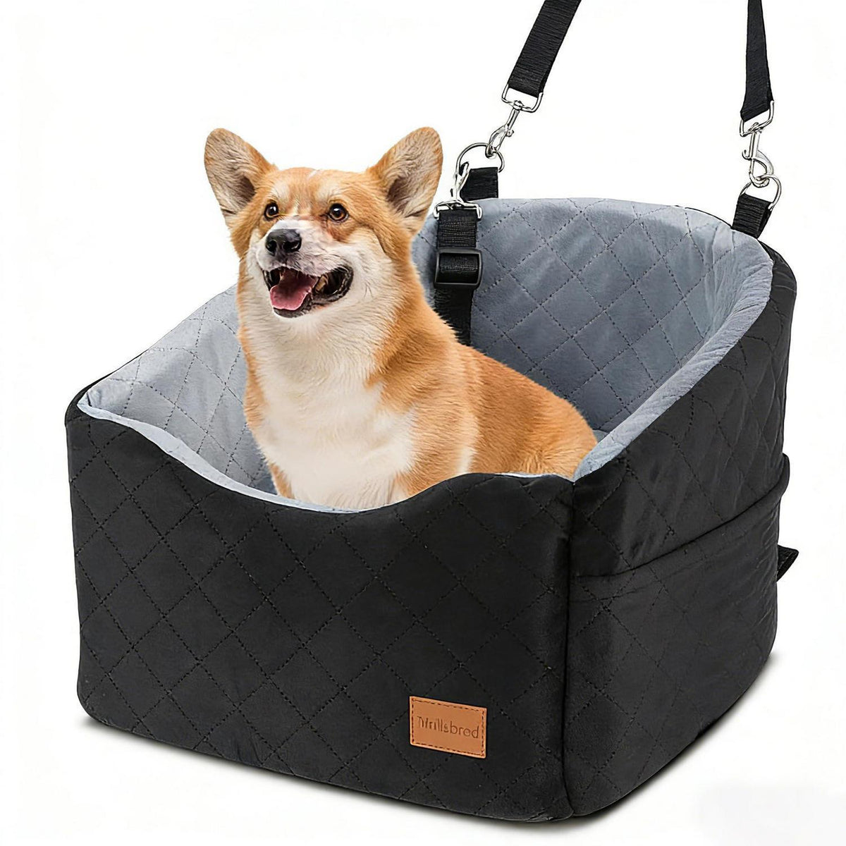 Hunde-Autositz für kleine Hunde – Bequem & Sicher unterwegs