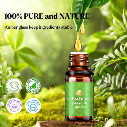 Ätherische Öle Set 24x10ml | 100% Naturrein für Diffuser & Spa