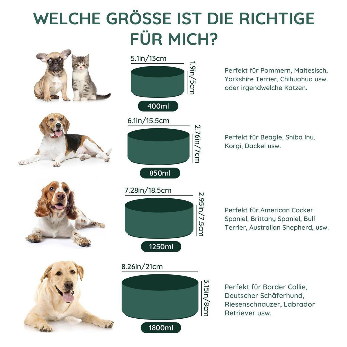 Keramik Hundenapf 1250ml Grün – Stabil & Leicht zu Reinigen