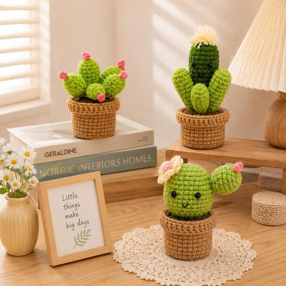 Häkelset für Anfänger: 3 Kakteen Amigurumi mit Anleitung
