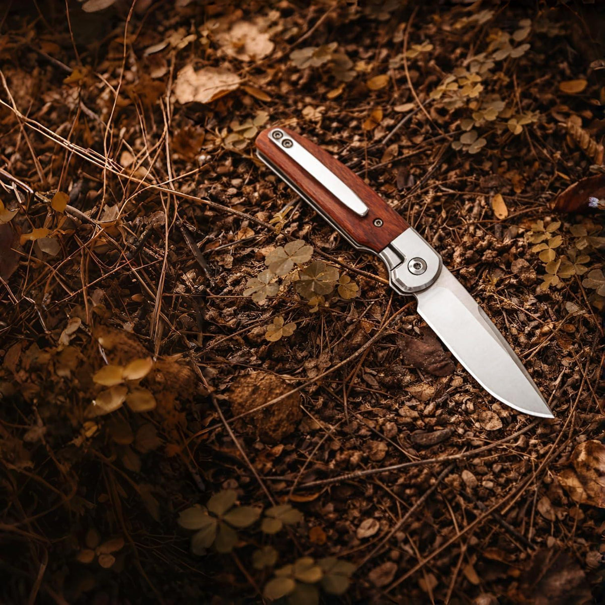 EDC Klappmesser D2 Stahl | Echtholz Griff & Timascus Clip