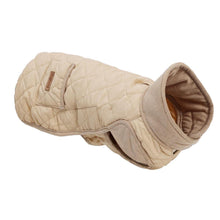 Dackel Wintermantel wasserdicht & winddicht – Beige S