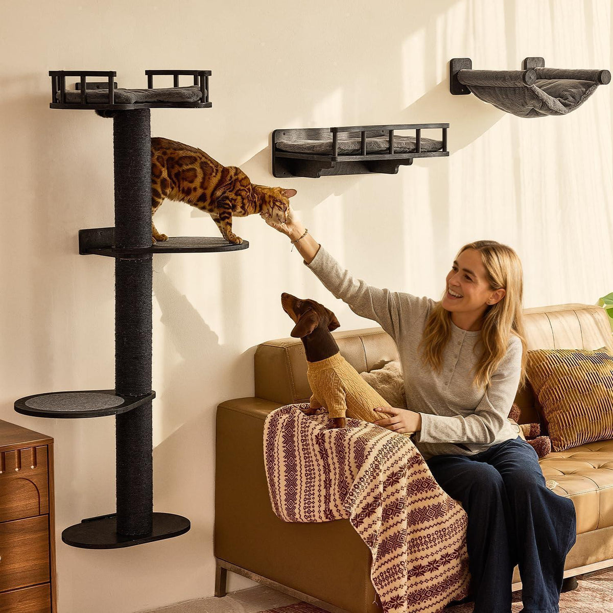Katzenkletterwand 4in1 – Wandmöbel mit Hängematte & Kratzbaum