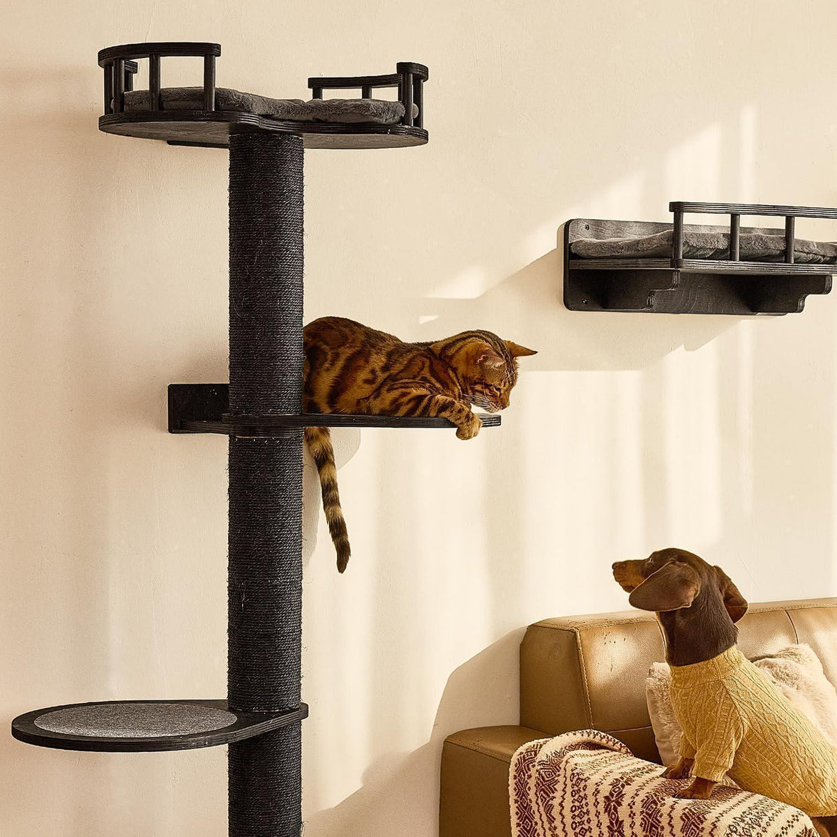 Katzenkletterwand 4in1 – Wandmöbel mit Hängematte & Kratzbaum