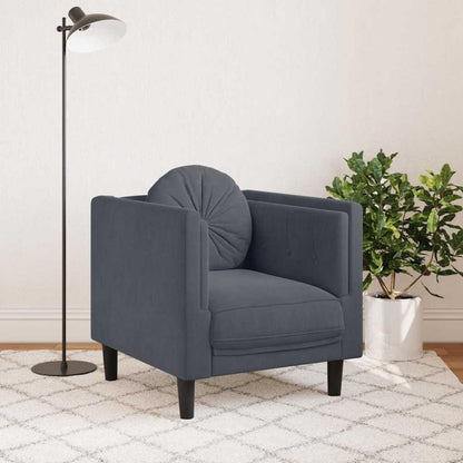 Modernes Samt Sofa 2-Sitzer Dunkelgrau – Bequemes Wohnzimmer Sofa