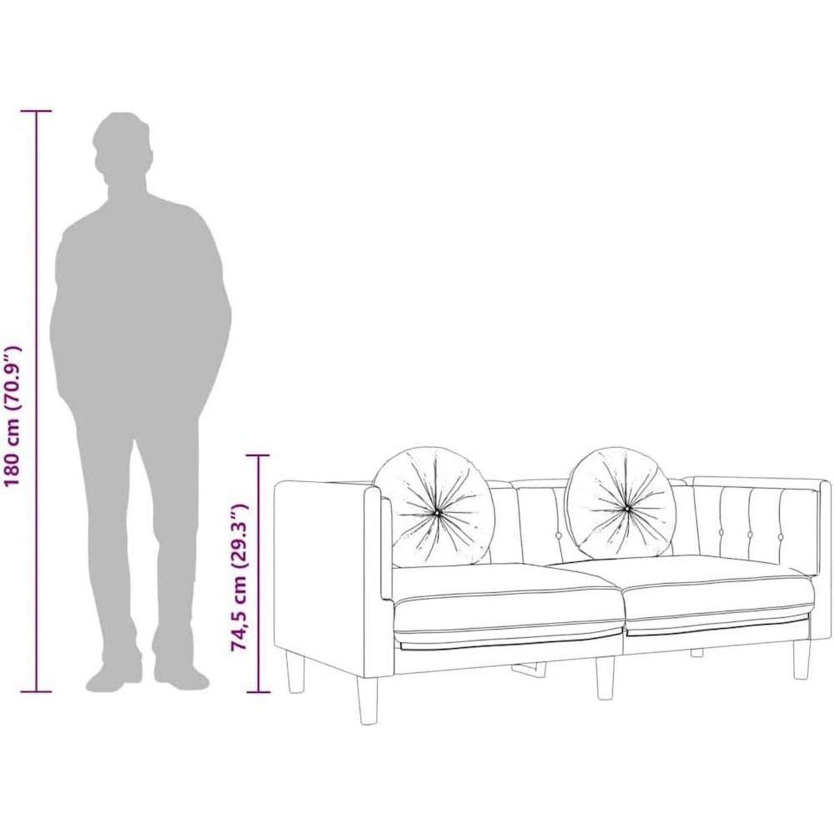 Modernes 2-Sitzer Sofa Schwarz Samt mit Kissen