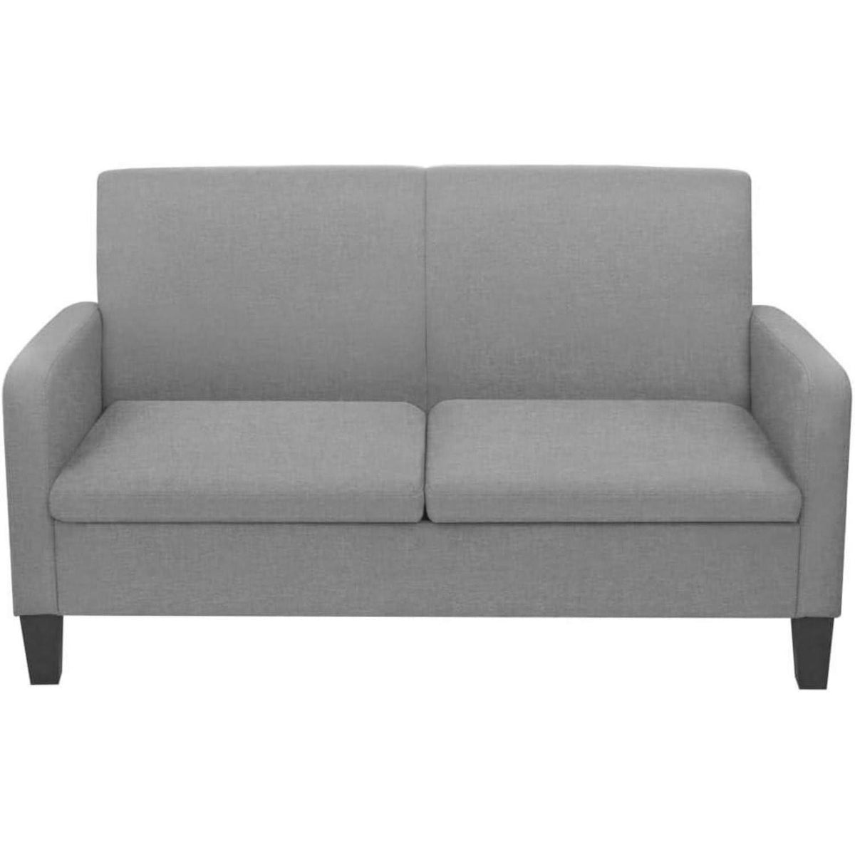 Modernes 2-Sitzer Schlafsofa Hellgrau