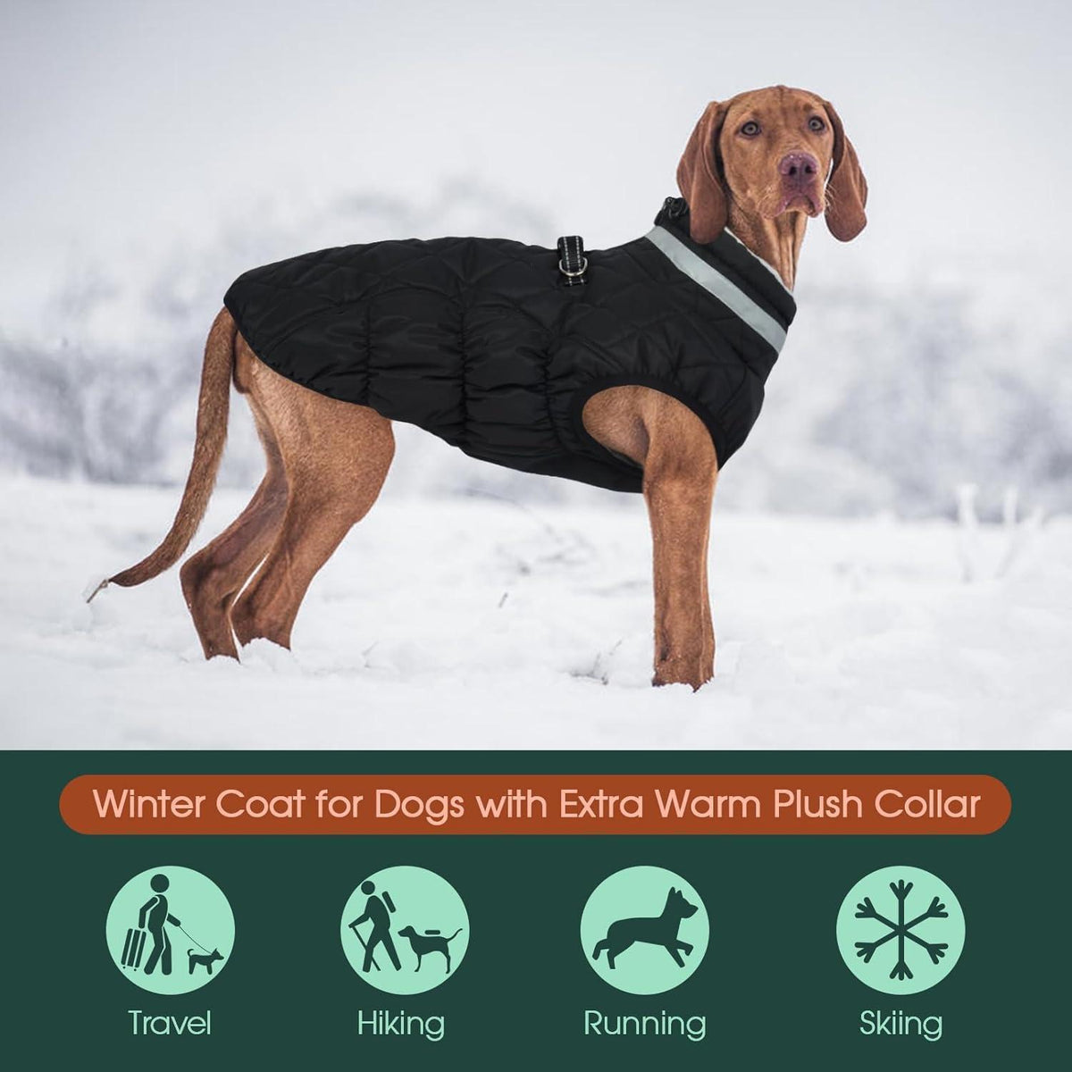 Kuoser Hundemantel Winter Wasserdicht & Winddicht Schwarz XS