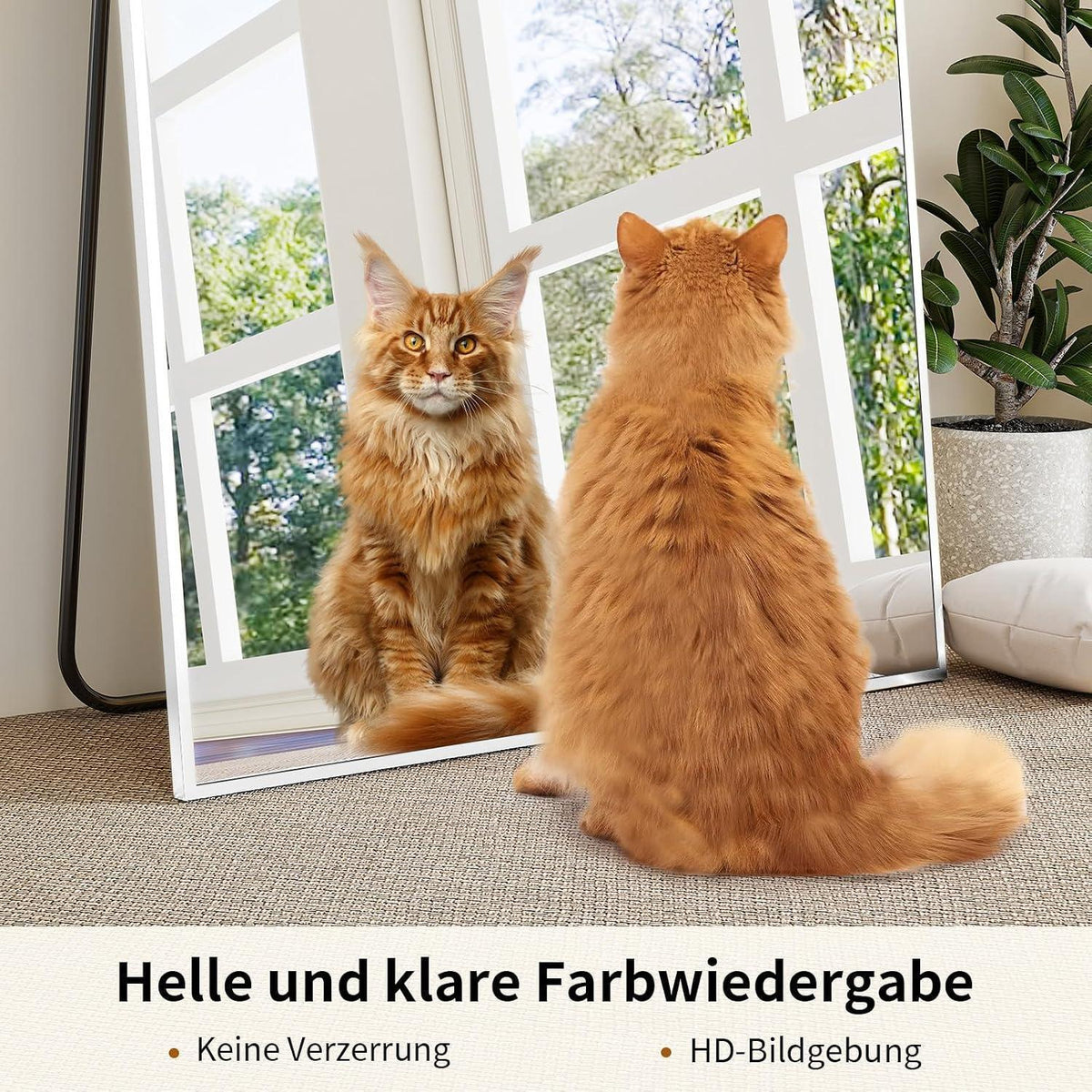 Großer Standspiegel 165x60cm – Bruchsicher & Wandhängend