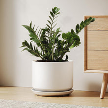 Keramik Blumentopf 25cm mit Untersetzer & Drainageloch, Weiß