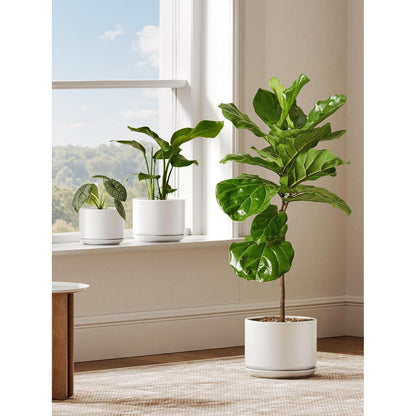 Keramik Pflanztopf 20cm mit Untersetzer – Weiß