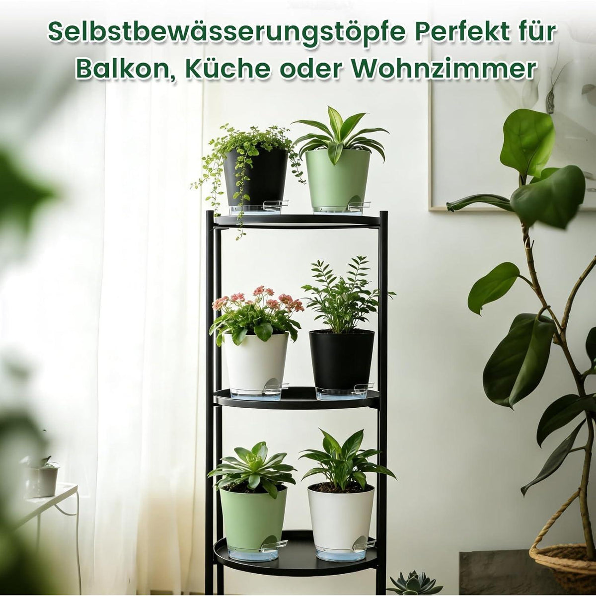 Selbstbewässerungstöpfe 5er Set mit Wasserstandsanzeige