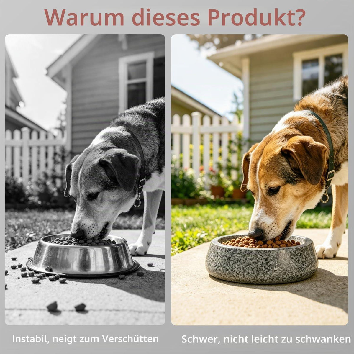 Granit Hundenapf Grau | Stabil & Rutschfest für Hunde & Katzen
