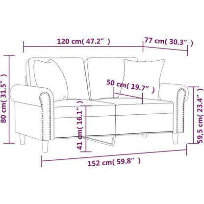2-Sitzer Sofa Samt Rosa – Modernes Mini Sofa mit Kissen