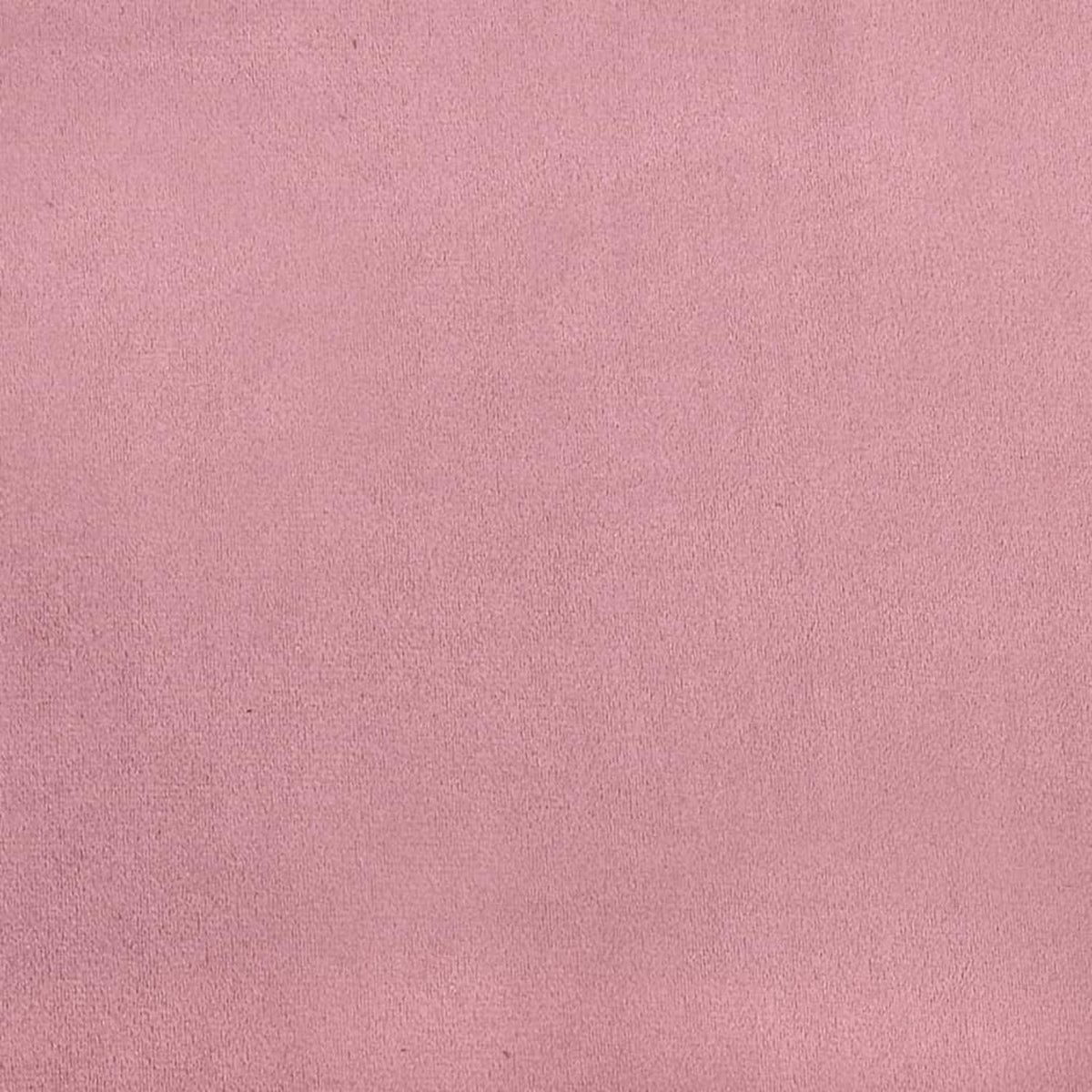 2-Sitzer Sofa Samt Rosa – Modernes Mini Sofa mit Kissen